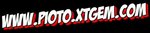 Www.Pioto.Xtgem.Com